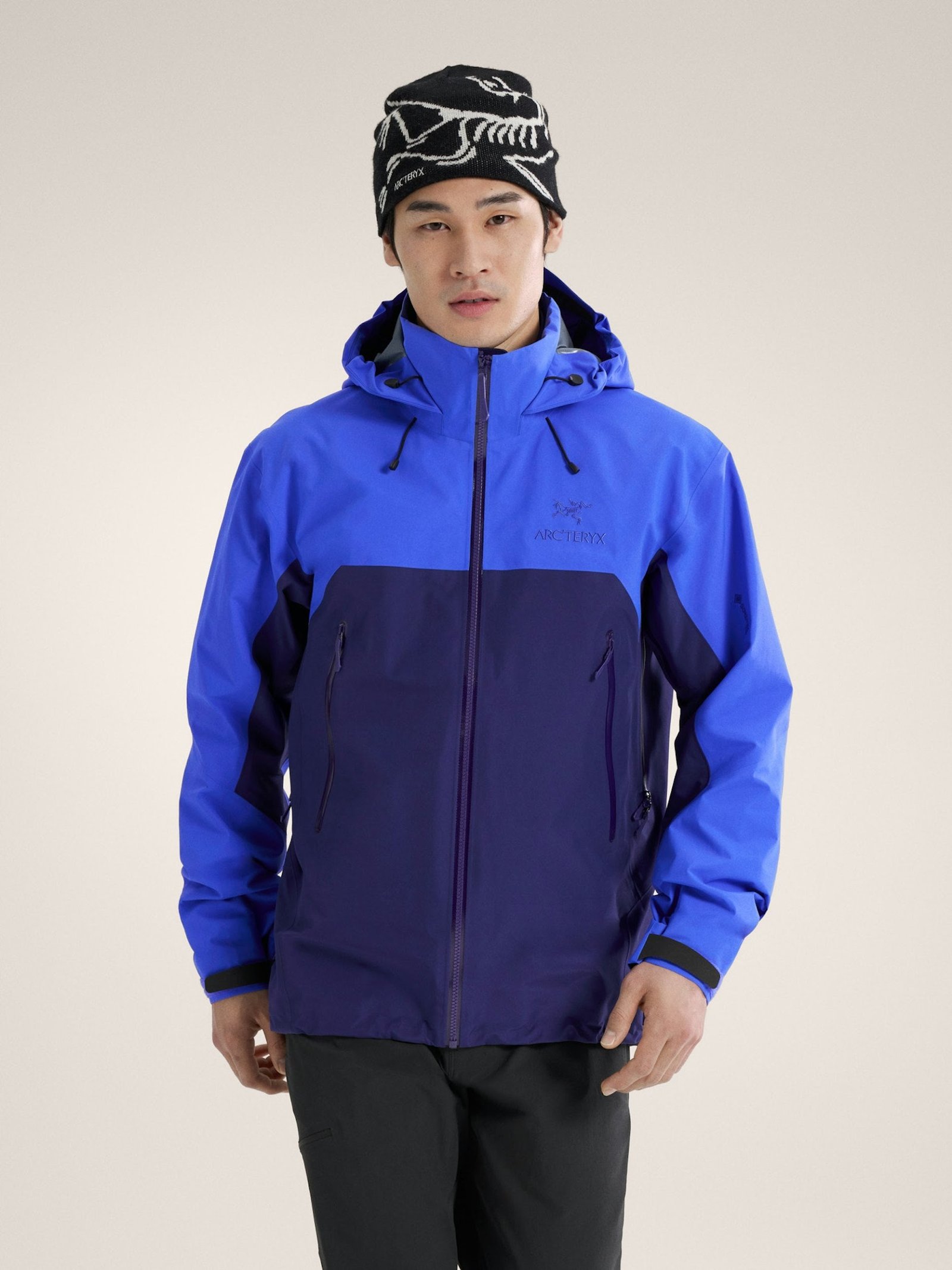 Arcteryx Beta AR
